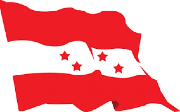 Nepali Congress has urged government to look after Nepalis in foreign