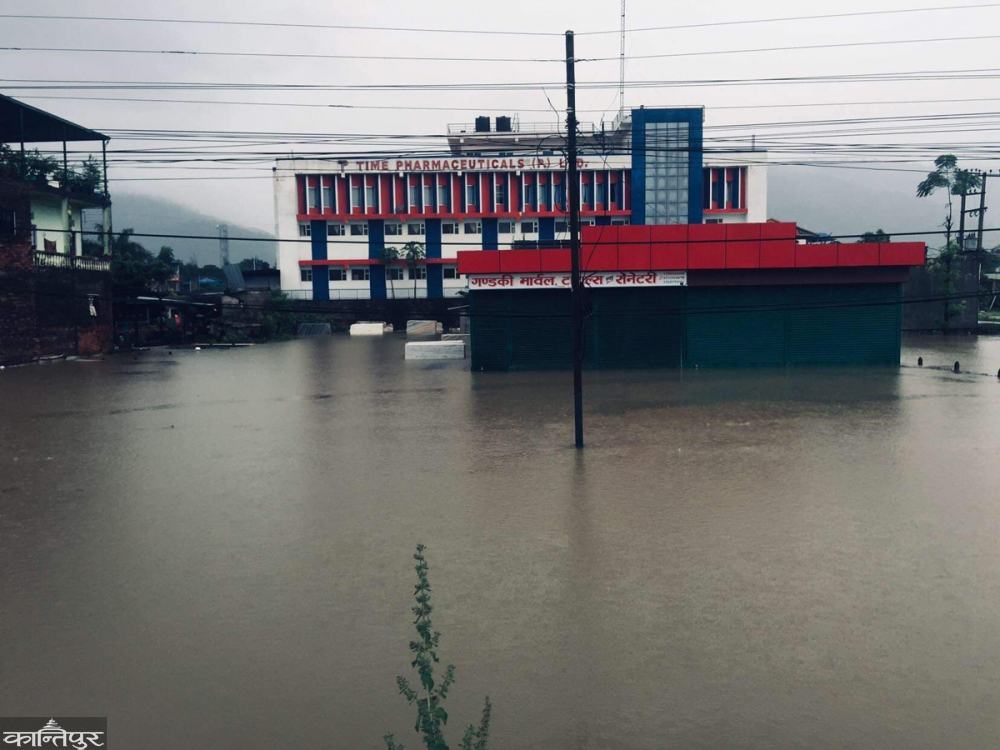 नवलपरासी गैंडाकोट नगरपालिकामा ४ सय घर डुबानमा