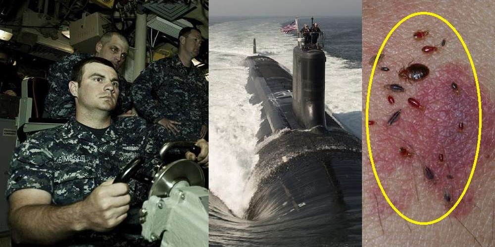 विश्वकै शक्तिशाली अमेरिकी नौसेना उडुसका कारण आतंकित