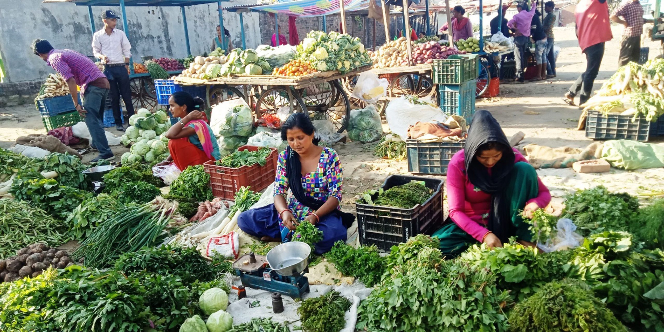 हरियो सागपातको भाउ आकासीयो :  मासुभन्दा महंगो